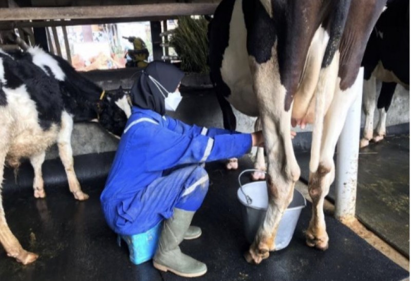 Pengalaman PKL yang Berkesan